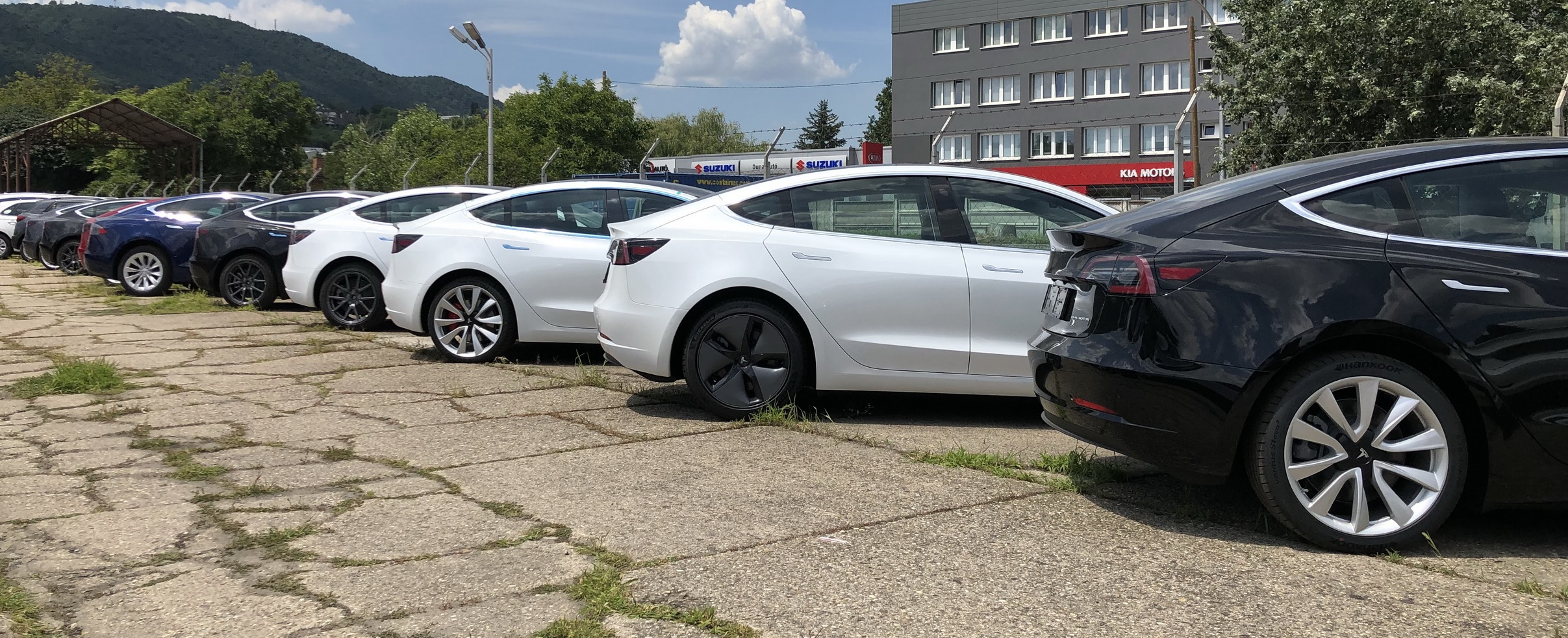 Letarolta A Teljes Holland Autopiacot A Tesla Model 3 Juniusban E Cars Hu